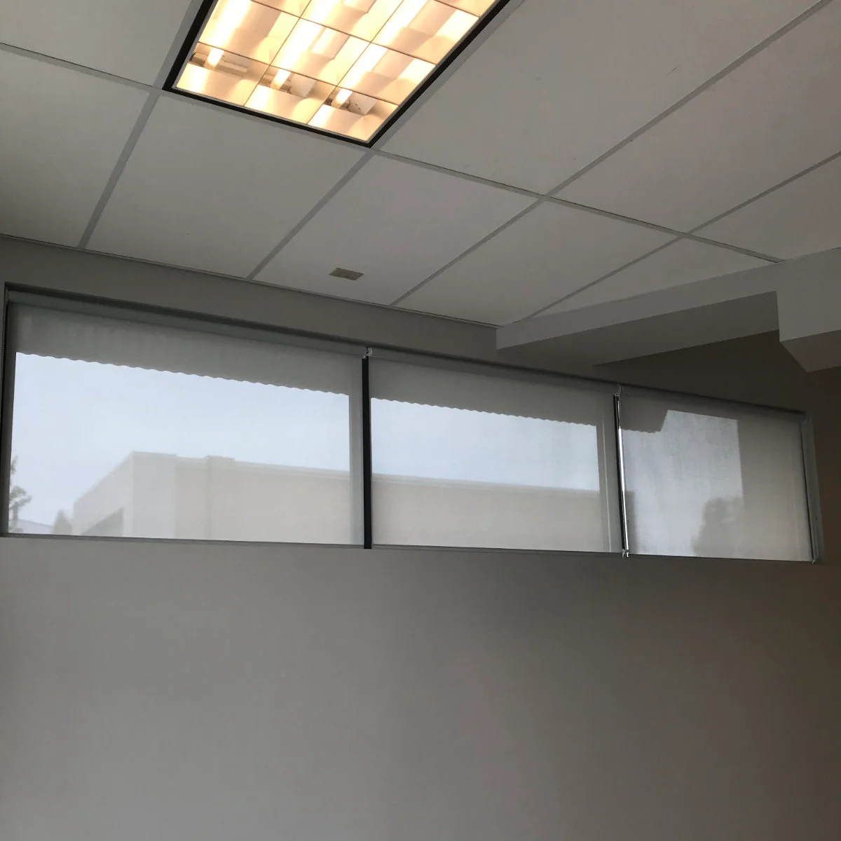 Commercial roller shades installed in a business interior
